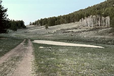 Erosion Control Lake George, Colorado. Installed Seed and straw crimp at a ranch in Lake George to reclaim the areas that were disturbed in making of the new road.
