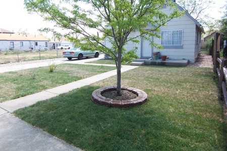 Landscaping Services in Monument, Castle Rock, Front Range, Colorado Springs