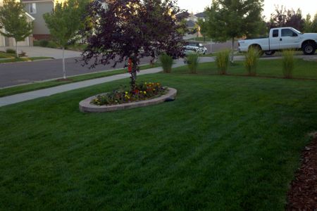 Landscaping Services in Monument, Castle Rock, Front Range, Colorado Springs