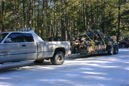 Tree Care & Tree Removal in Monument, Castle Rock, Colorado Springs