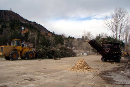 Tree Care & Tree Removal in Monument, Castle Rock, Colorado Springs