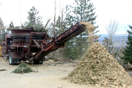 Tree Care & Tree Removal in Monument, Castle Rock, Colorado Springs