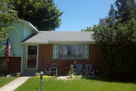 Tree Care & Tree Removal in Monument, Castle Rock, Colorado Springs