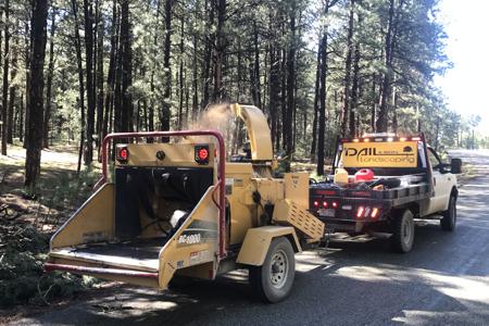 Tree Care & Tree Removal in Monument, Castle Rock, Colorado Springs