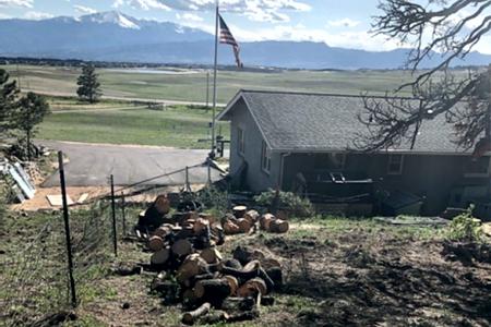 Cutting down trees for a view corridor for a house in Colorado Springs, Colorado