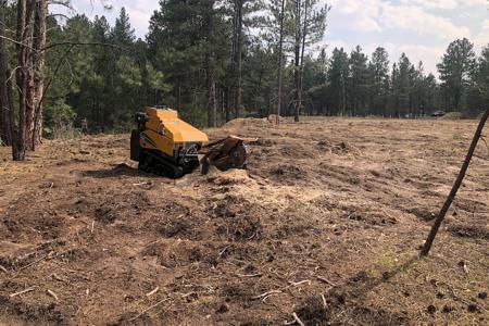Stump grinding in Larkapur, Colorado 