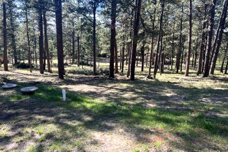 Fire Mitigation in Black Forest, Colorado. Cut, trimmed and removed the trees on the entire 5 acre piece, so the insurance was happy and there was no more fire danger, more sun light to the forest floor and the larger trees get more water. All the ladder fuels were removed