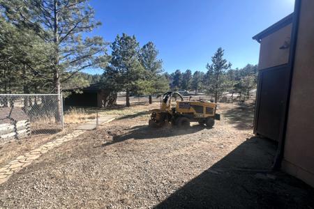 Stump Grinding in Monument, Colorado. Removed several hazard trees and then ground all the stumps so that mowing the grass is easier and you have a more park like look.