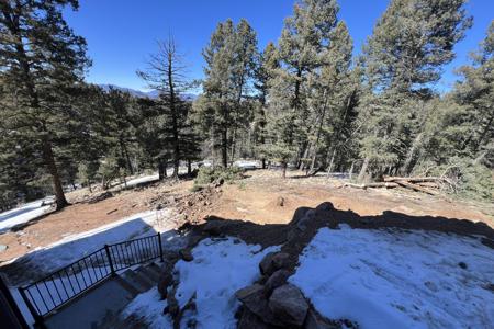 Tree removal in Florissant, Colorado. Installed several large spruce trees for the installation of a new retaining wall for the new driveway.